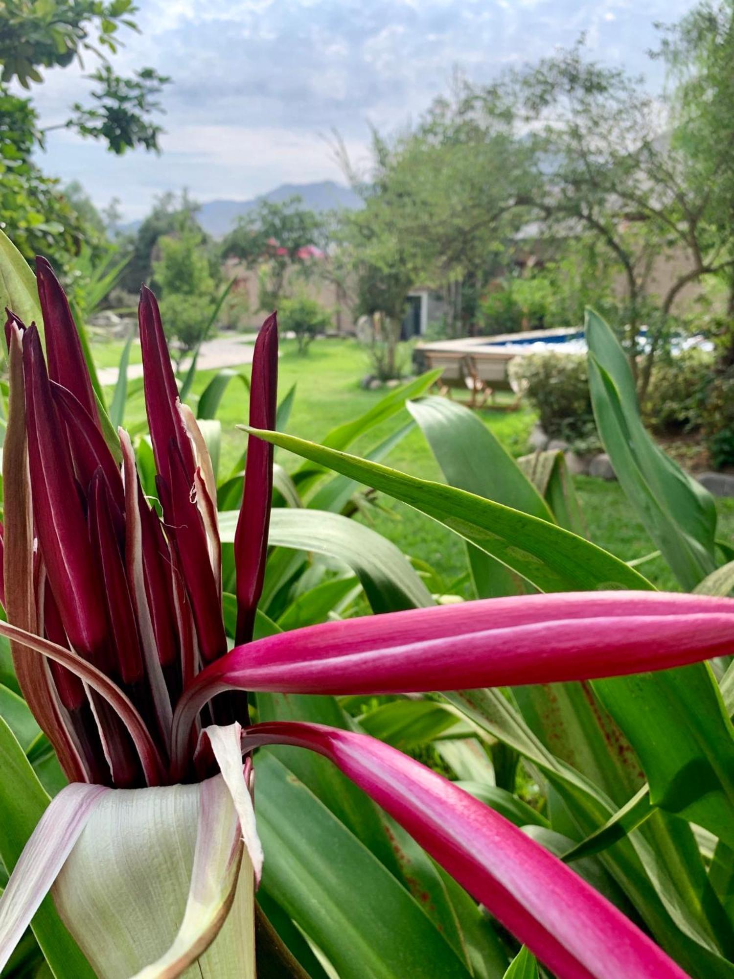 Refugio De Santiago Ecolodge Lunahuaná 外观 照片